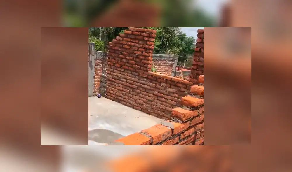 Desliza la imagen compartida para verlas todas. Foto: kevinfigueroah/TikTok Desliza la imagen compartida para verlas todas. Foto: kevinfigueroah/TikTok