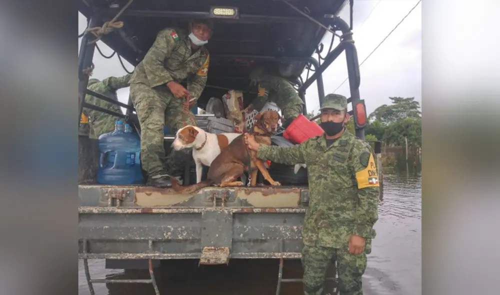 Desliza las imágenes para conocer más sobre el valeroso acto de este grupo de soldados. Foto: Facebook