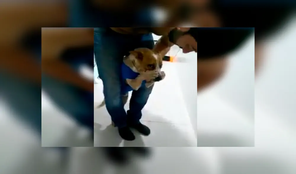 En Facebook, un perro se tapó el hocico para evitar tomar sus medicinas que le recetó su veterinario. En Facebook, un perro se tapó el hocico para evitar tomar sus medicinas que le recetó su veterinario.