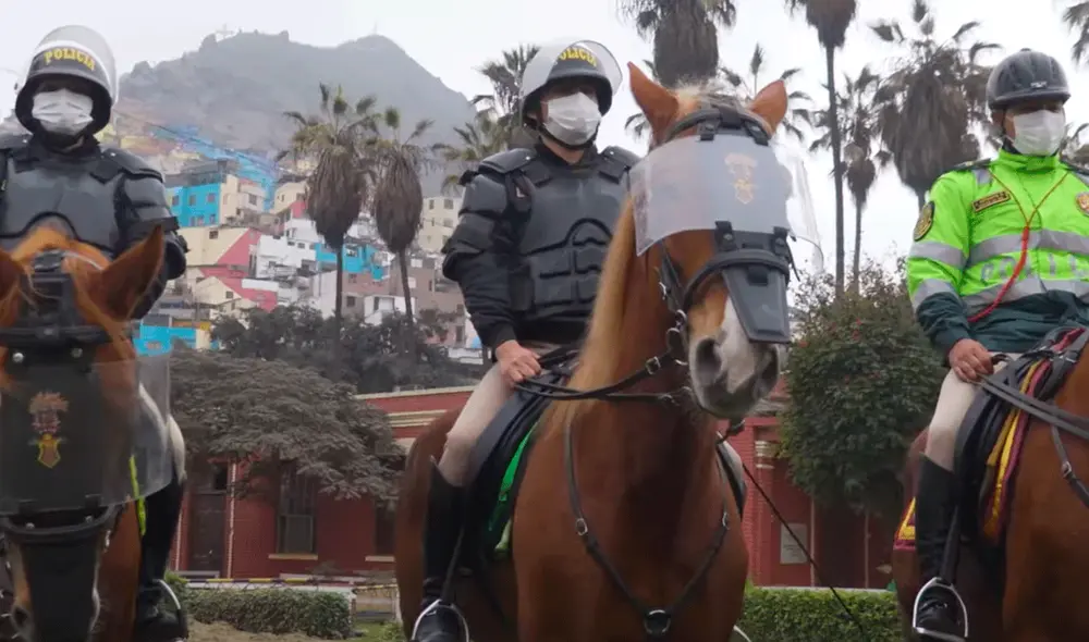 Uso de caballos en protestas no es efectivo ni ético como forma de disuasión en protestas. Foto: Policía Montada Uso de caballos en protestas no es efectivo ni ético como forma de disuasión en protestas. Foto: Policía Montada