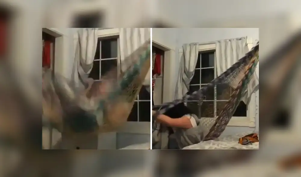 Desliza hacia la izquierda para ver las imágenes del viral de Facebook.