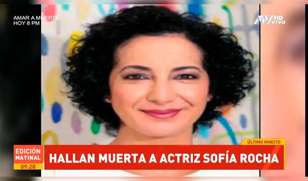 Sofía Rocha y la trágica escena con la que se volvió tendencia en redes Sofía Rocha y la trágica escena con la que se volvió tendencia en redes
