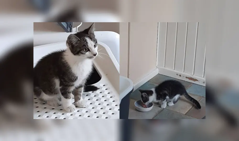 Desliza las imágenes para ver más detalles de esta conmovedora historia que conmovió las redes sociales. (Foto: captura / Facebook) Desliza las imágenes para ver más detalles de esta conmovedora historia que conmovió las redes sociales. (Foto: captura / Facebook)