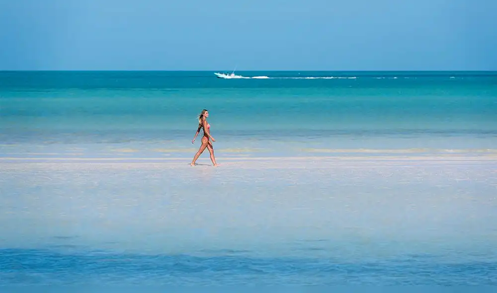 Consigue un boleto aéreo más alojamiento a partir de 59 dólares