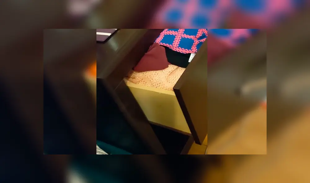 La graciosa hazaña del gato para robar comida clandestinamente desató miles de carcajadas en Facebook La graciosa hazaña del gato para robar comida clandestinamente desató miles de carcajadas en Facebook