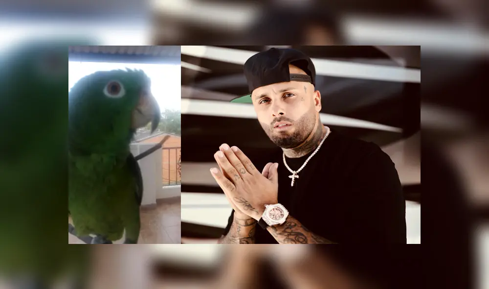 Desliza para ver los detalles de este video viral publicado en YouTube. Foto: Captura. Desliza para ver los detalles de este video viral publicado en YouTube. Foto: Captura.