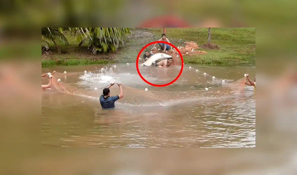 YouTube viral: Entran a pescar y quedan en shock al ver extrañas criaturas en su red [VIDEO]