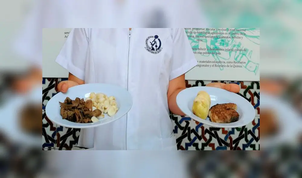 Loncheras nutritivas Loncheras nutritivas