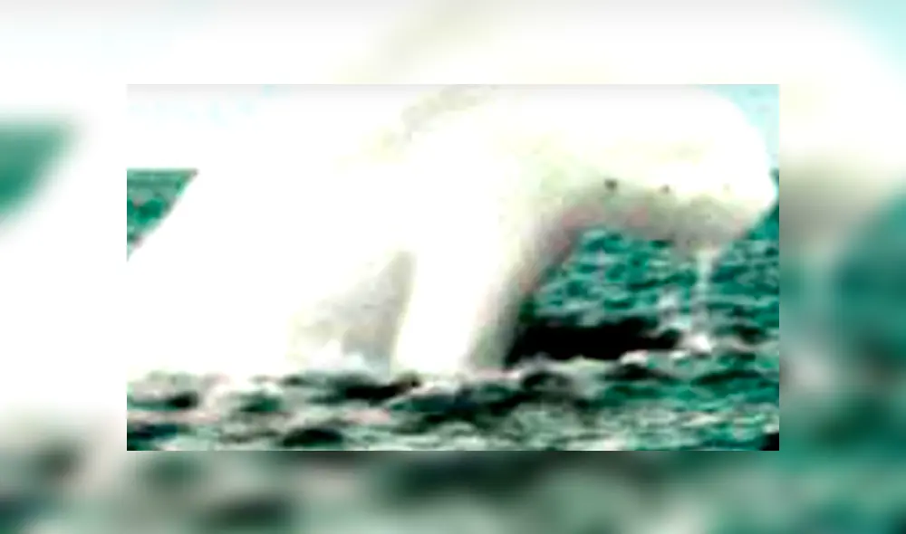 YouTube viral: gigantesca criatura marina embiste barco de Japón y miles quedan impactados [VIDEO]