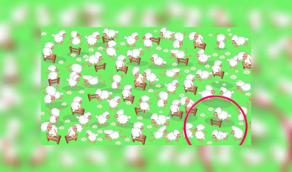 Desliza las imágenes para ver la respuesta de este complicado reto visual. Foto: Facebook Desliza las imágenes para ver la respuesta de este complicado reto visual. Foto: Facebook