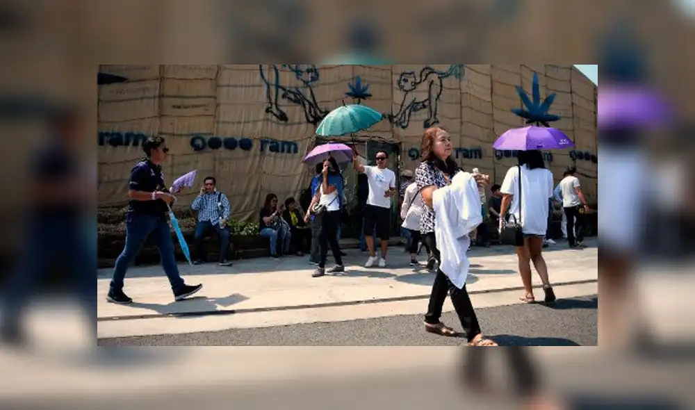Tailandia celebra gran fiesta de marihuana tras legalización para uso médico [FOTOS]