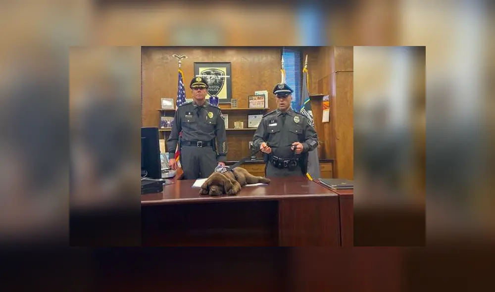 Desliza para ver los detalles del video viral publicado en YouTube. Foto: Captura. Desliza para ver los detalles del video viral publicado en YouTube. Foto: Captura.