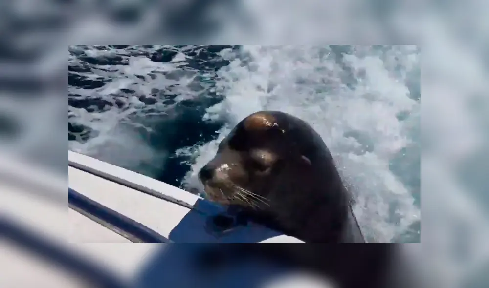 Desliza para ver todas las imágenes de YouTube. Foto: captura Desliza para ver todas las imágenes de YouTube. Foto: captura