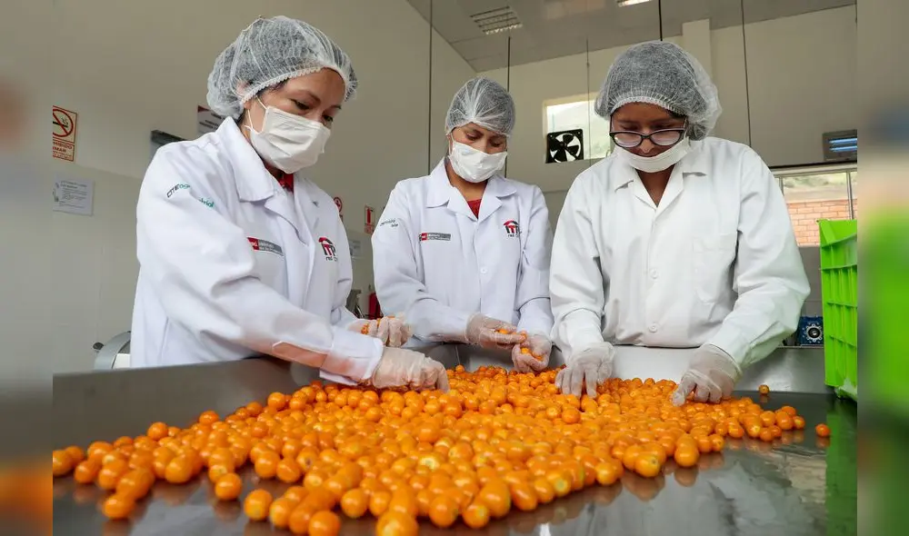 Centro de Innovación Productiva y Transferencia Tecnológica