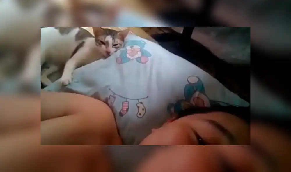 Facebook: joven desafinado le canta a su gato para que no duerma y este reacciona de forma inesperada [VIDEO]