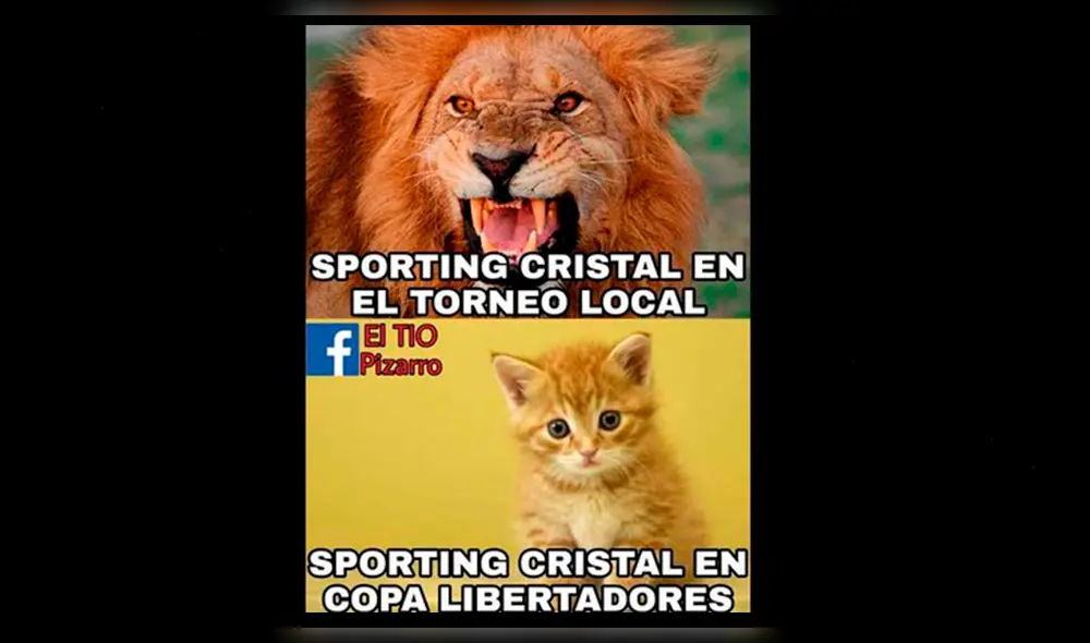 Divertidos memes luego de la clasificación de Sporting Cristal a la Sudamericana [FOTOS]