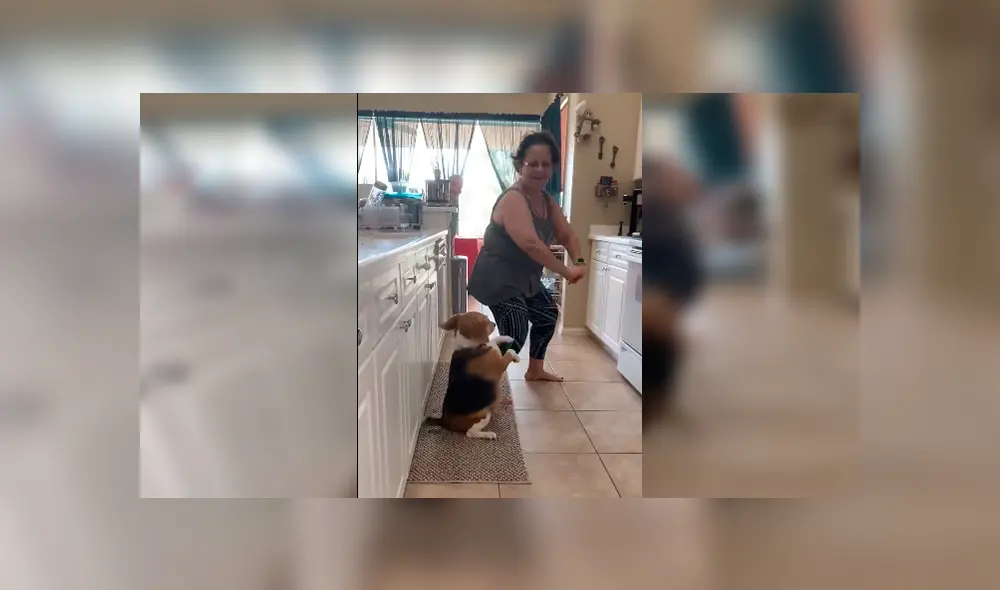 En Facebook, una joven descubrió el momento exacto que su madre y perro bailaron una canción de Sebastián Yatra. En Facebook, una joven descubrió el momento exacto que su madre y perro bailaron una canción de Sebastián Yatra.
