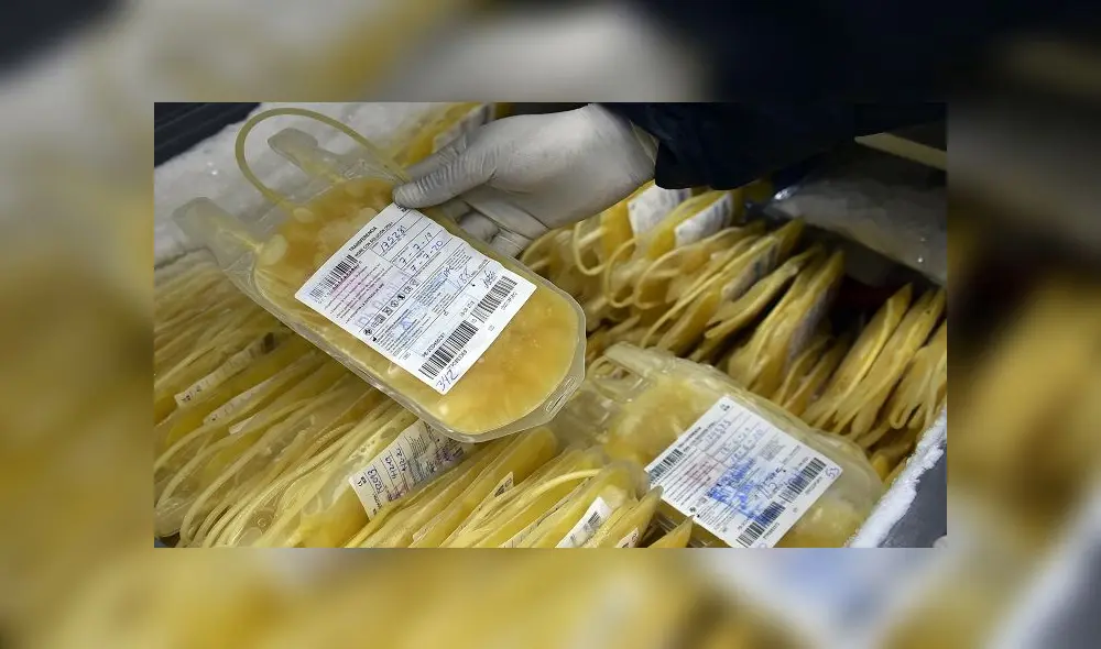 A medical worker holds a plasma sample donated by recovered novel coronavirus patients, at Hemocentro blood bank in La Paz, on June 10, 2020. - In addition to state efforts, private entities, including football teams, are developing campaigns to "reward" those recovered COVID-19 patients to give their plasma for free to the treatment of other patients after the Health Ministry projected that by the end of July Bolivia could register up to 100,000 people infected with coronavirus and 4,000 to 7,000 deaths. (Photo by AIZAR RALDES / AFP)