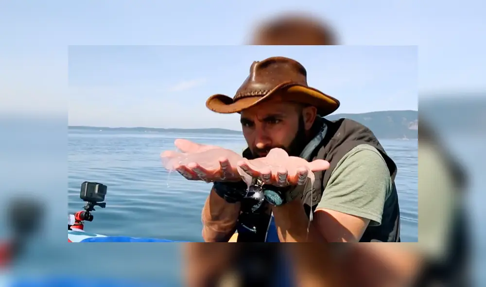 Desliza a la izquierda para conocer más sobre este nuevo viral de YouTube. Foto: Captura. Desliza a la izquierda para conocer más sobre este nuevo viral de YouTube. Foto: Captura.