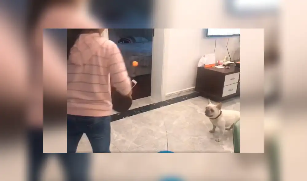 Desliza las imágenes para conocer el amoroso momento entre una niña junto a su adorable mascota. Foto: Captura. Desliza las imágenes para conocer el amoroso momento entre una niña junto a su adorable mascota. Foto: Captura.