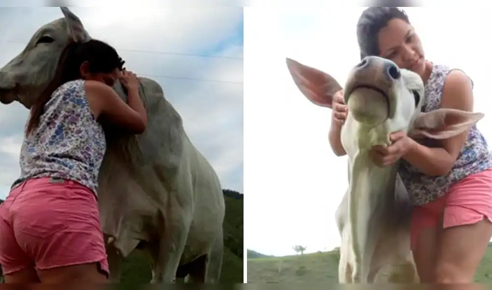 Facebook: Vaca fue abandonada por su madre, pero una mujer le dio la mejor vida de todas