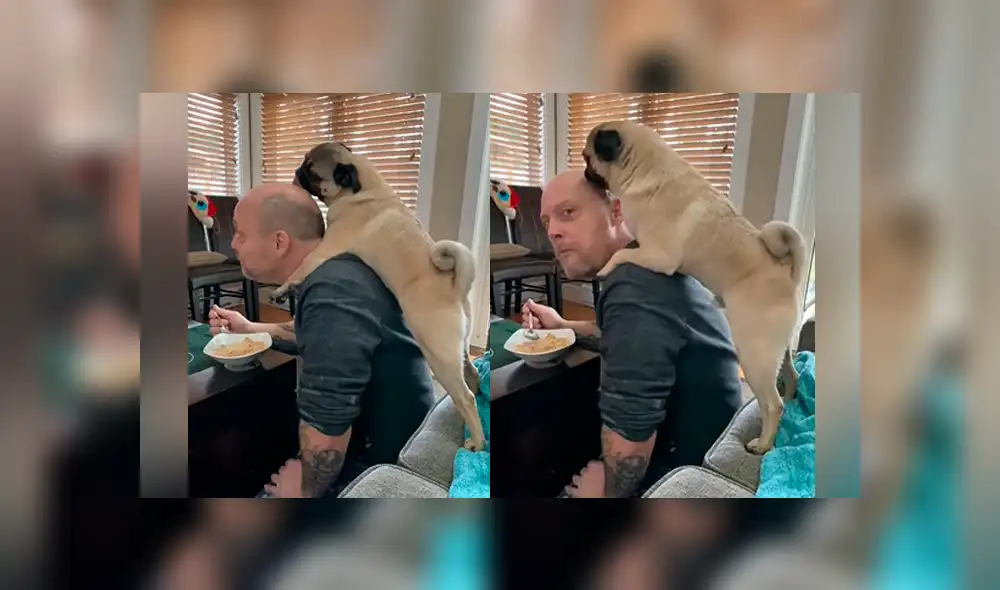 YouTube viral: su padre no quería perros en casa y ella lo descubre en una tierna escena con su mascota