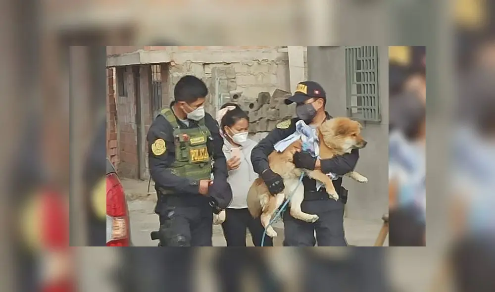 Foto: Conectados Noticias. Foto: Conectados Noticias.