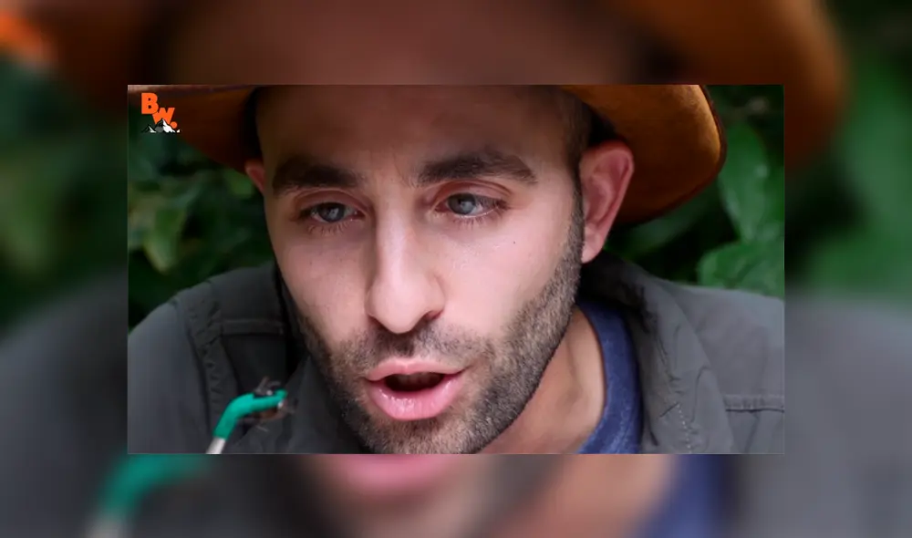 Un video muestra al famoso 'Coyote' Peterson siendo picado por una gigantesca hormiga bala. Un video muestra al famoso 'Coyote' Peterson siendo picado por una gigantesca hormiga bala.