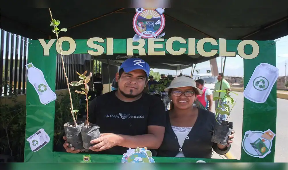Municipalidad de Socabaya canjeará material reciclable por plantas. Municipalidad de Socabaya canjeará material reciclable por plantas.