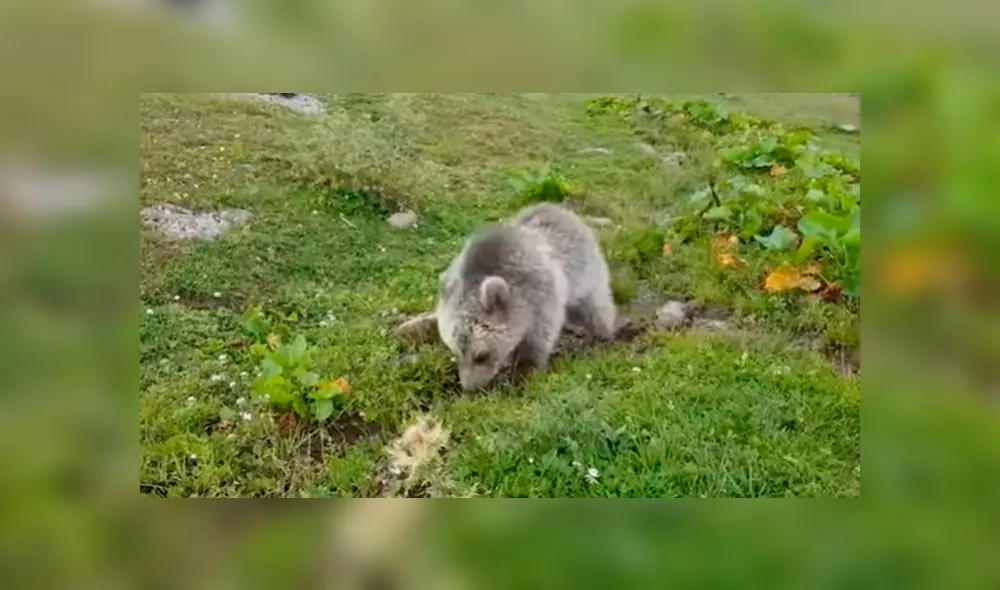 Desliza para ver los momentos más emotivos del video que se hizo viral en YouTube. Desliza para ver los momentos más emotivos del video que se hizo viral en YouTube.