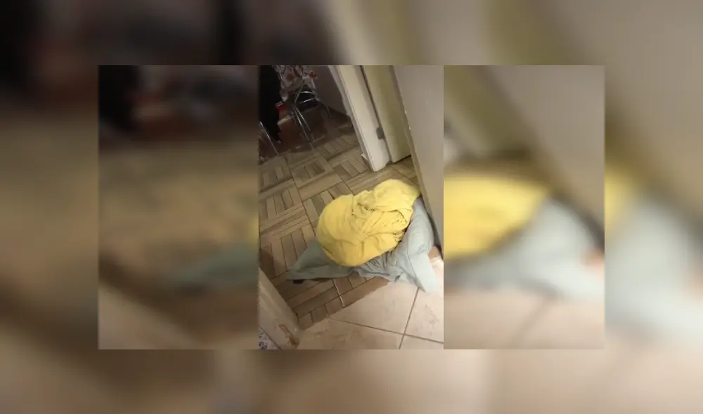 Desliza las imágenes hacia la izquierda para apreciar la emotiva acción de un perro para poder dormir. Fotocaptura: Facebook. Desliza las imágenes hacia la izquierda para apreciar la emotiva acción de un perro para poder dormir. Fotocaptura: Facebook.