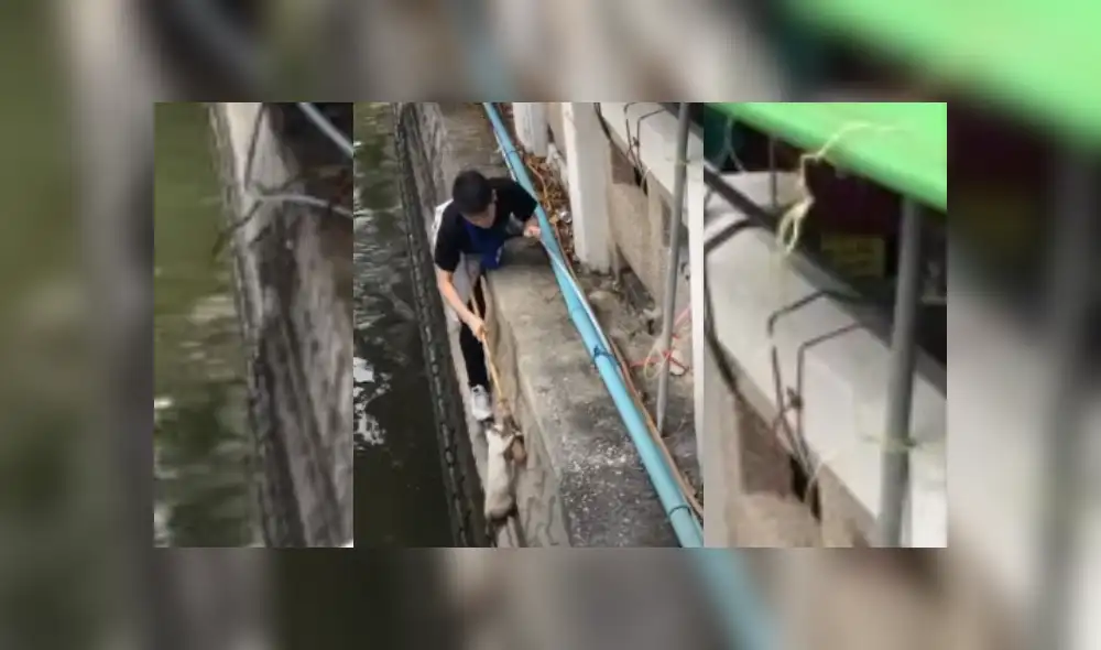 Video es viral en YouTube. El hombre tuvo que saltar la baranda de un puente para alcanzar al felino que estaba trepando para no caer al agua.. Fotocaptura: YouTube