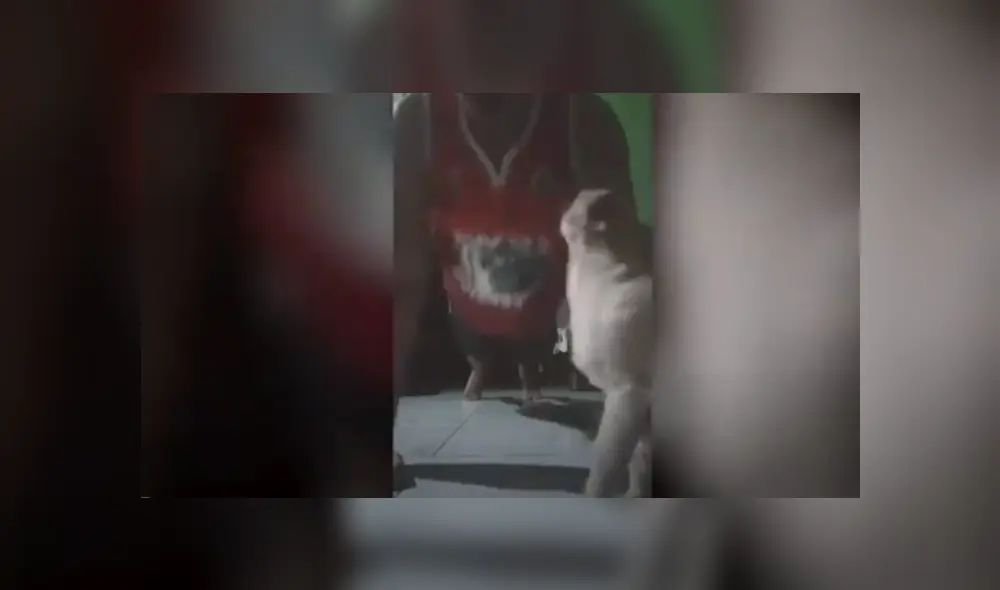 Desliza hacia la izquierda para ver más del video viral. Fotocaptura: YouTube