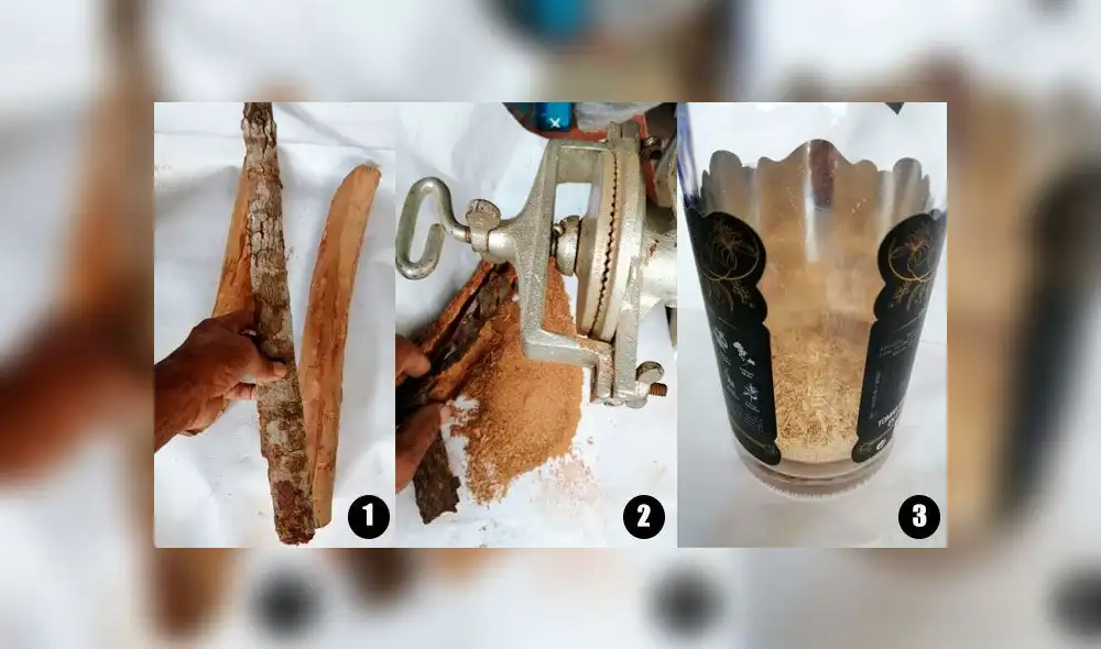 Nuevo fármaco a base de quina para combatir al coronavirus Nuevo fármaco a base de quina para combatir al coronavirus