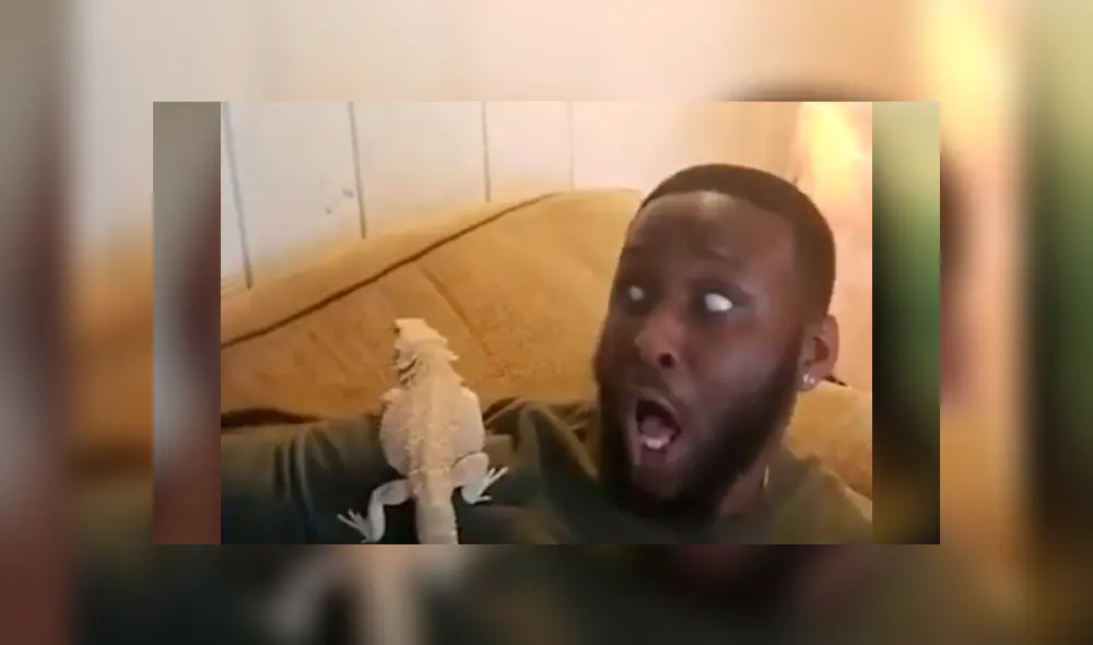 YouTube viral: la hilarante reacción de un papá, luego de que su hijo le coloque un reptil en el cuerpo YouTube viral: la hilarante reacción de un papá, luego de que su hijo le coloque un reptil en el cuerpo