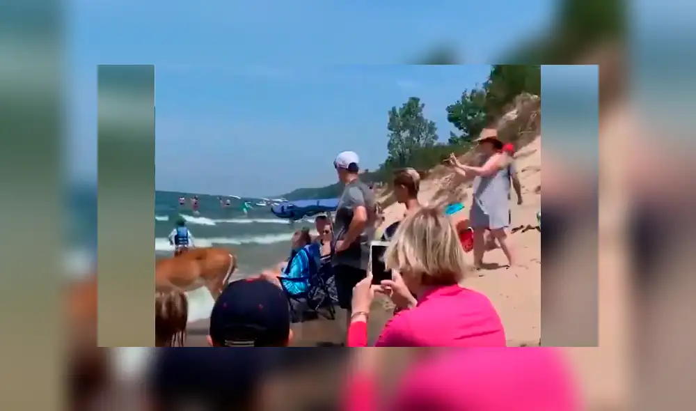 Bañistas se encuentran 'cara a cara' con ciervo dentro de playa.