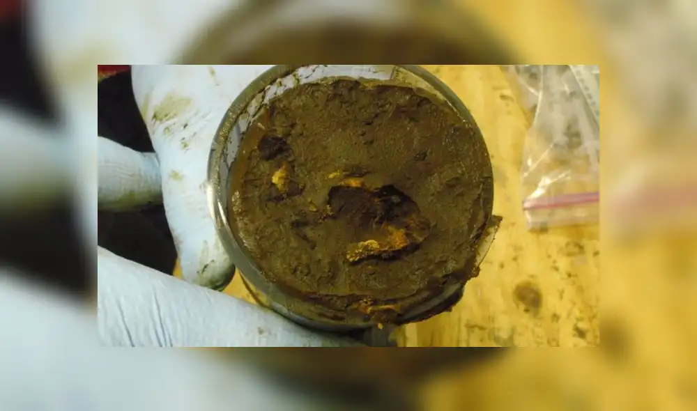 Los microbios fueron removidos del fondo del mar del Pacífico Sur. Foto: PA MEDIA Los microbios fueron removidos del fondo del mar del Pacífico Sur. Foto: PA MEDIA