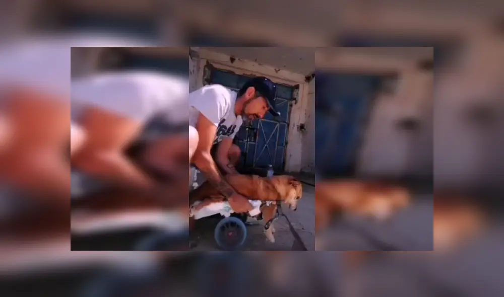 Desliza las imágenes hacia la izquierda para conocer la noble labor de un hombre al ayudar a su perro. Fotocaptura: Facebook.