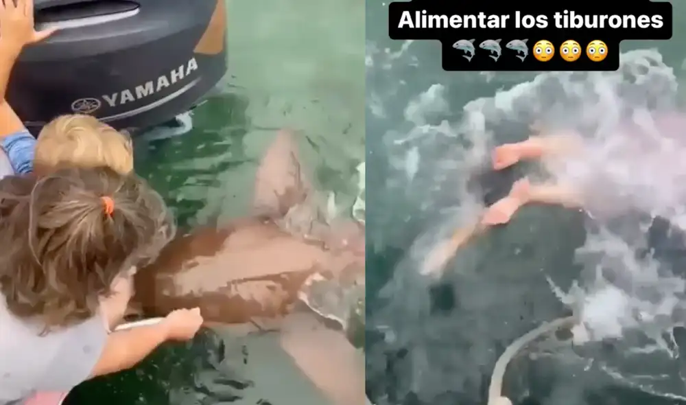 Este video ha conseguido 220.000 'me gusta' en Instagram. Foto: composición LR / TikTok / @richie.granda Este video ha conseguido 220.000 'me gusta' en Instagram. Foto: composición LR / TikTok / @richie.granda