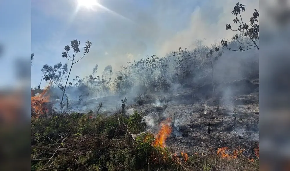 Apurímac. Incendios provocan decesos de personas y animales. Foto: Bomberos