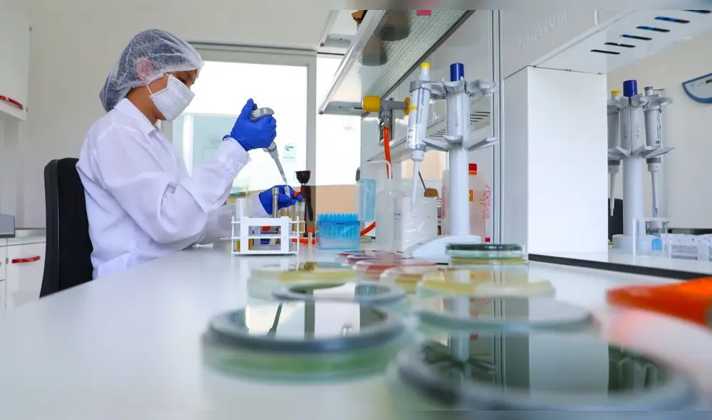 Mipymes recibirán vales hasta por 4 300 soles para acceder a los servicios del ITP Mipymes recibirán vales hasta por 4 300 soles para acceder a los servicios del ITP