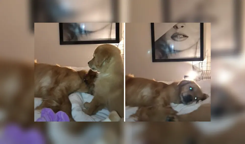 Desliza hacia la izquierda para ver las imágenes del viral de Facebook. Desliza hacia la izquierda para ver las imágenes del viral de Facebook.