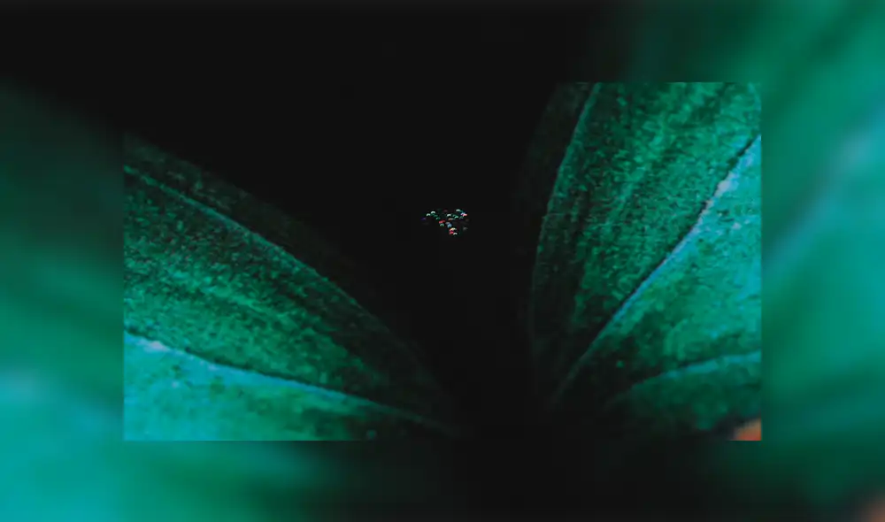 Los nuevos fallos presentados en la pantalla del Galaxy Fold. Los nuevos fallos presentados en la pantalla del Galaxy Fold.