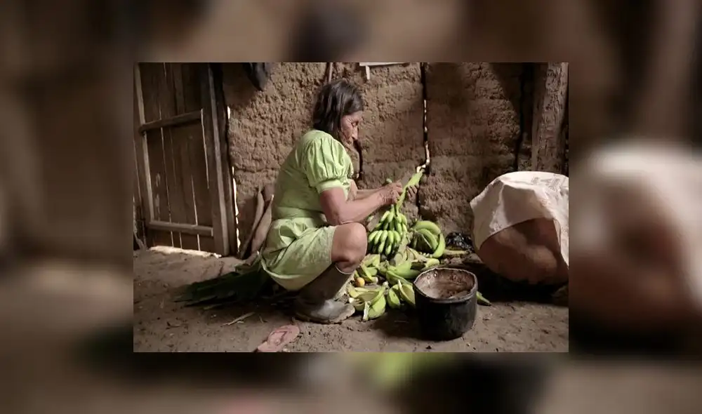 La Amazonía en pantalla grande