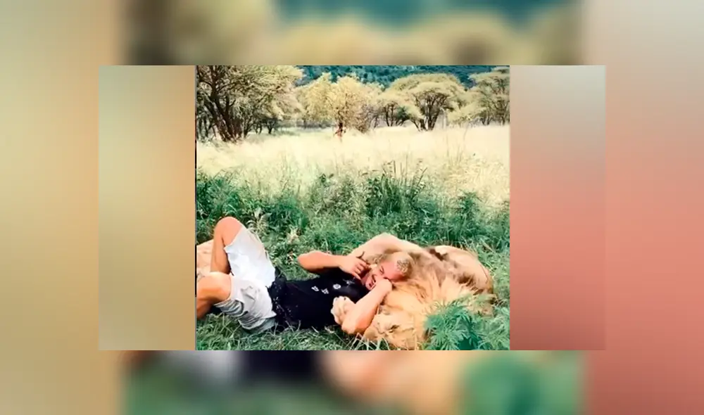 Desliza hacia la izquierda para ver la feroz reacción del león que se volvió 'famoso'en Facebook.