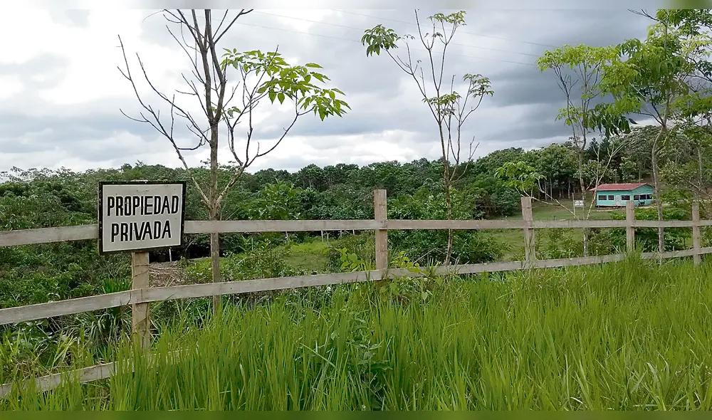 Bonos de carbono: el millonario esquema offshore en la Amazonía peruana