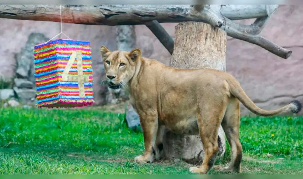 Parque de las Leyendas Parque de las Leyendas