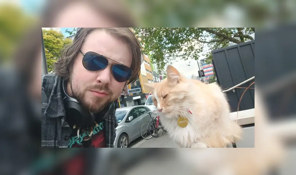 El felino ha ganado tanta popularidad en Wellington que está postulando al neozelandés del año. Foto: Facebook El felino ha ganado tanta popularidad en Wellington que está postulando al neozelandés del año. Foto: Facebook
