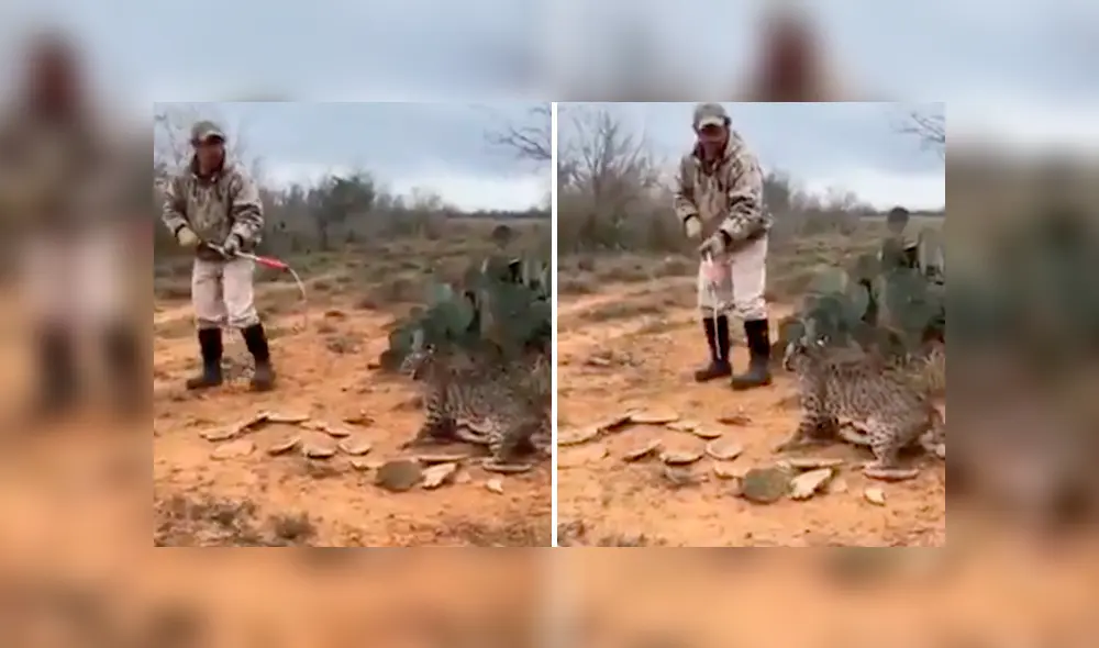 Para ver lo que ocurrió con el osado turista revisa las capturas del video viral de Facebook, deslizando cada imagen hacia la izquierda.