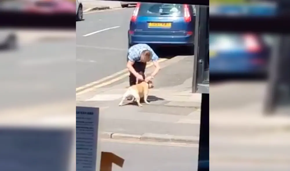 En Facebook, un joven captó el preciso instante que un perro hizo una rabieta a su dueño en la calle, pero no logró su objetivo.